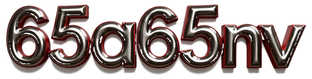 65a65nv logo